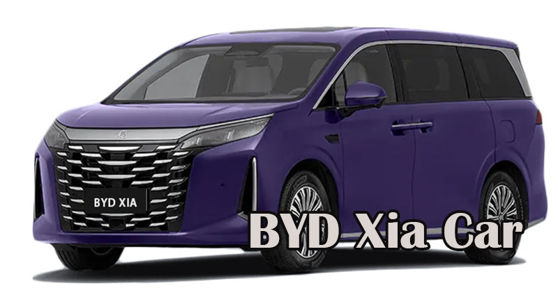 BYD Xia Car